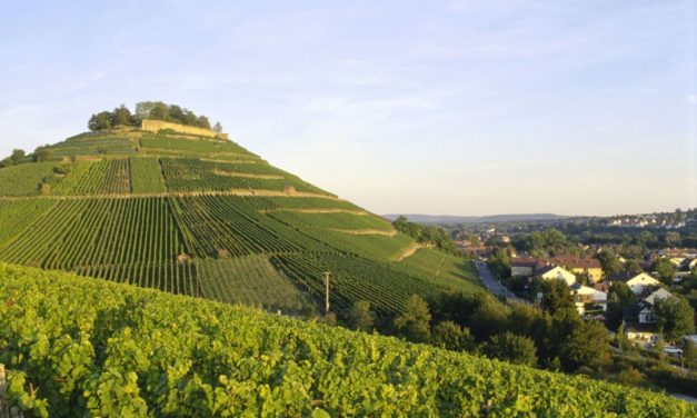 Württemberg: fascinerend en veelbelovend